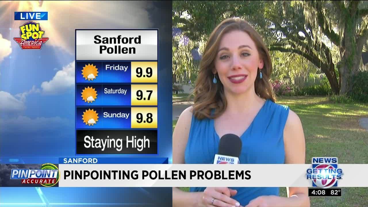 High pollen count makes Orlando No.1 worst city for allergy...